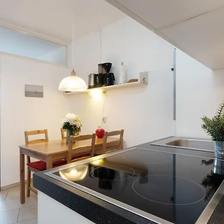 Berolina Panorama * 达默