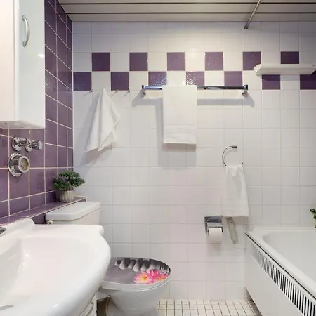 Berolina Panorama 公寓 *