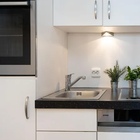 Berolina Panorama 公寓 达默